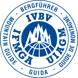 IVBV Logo