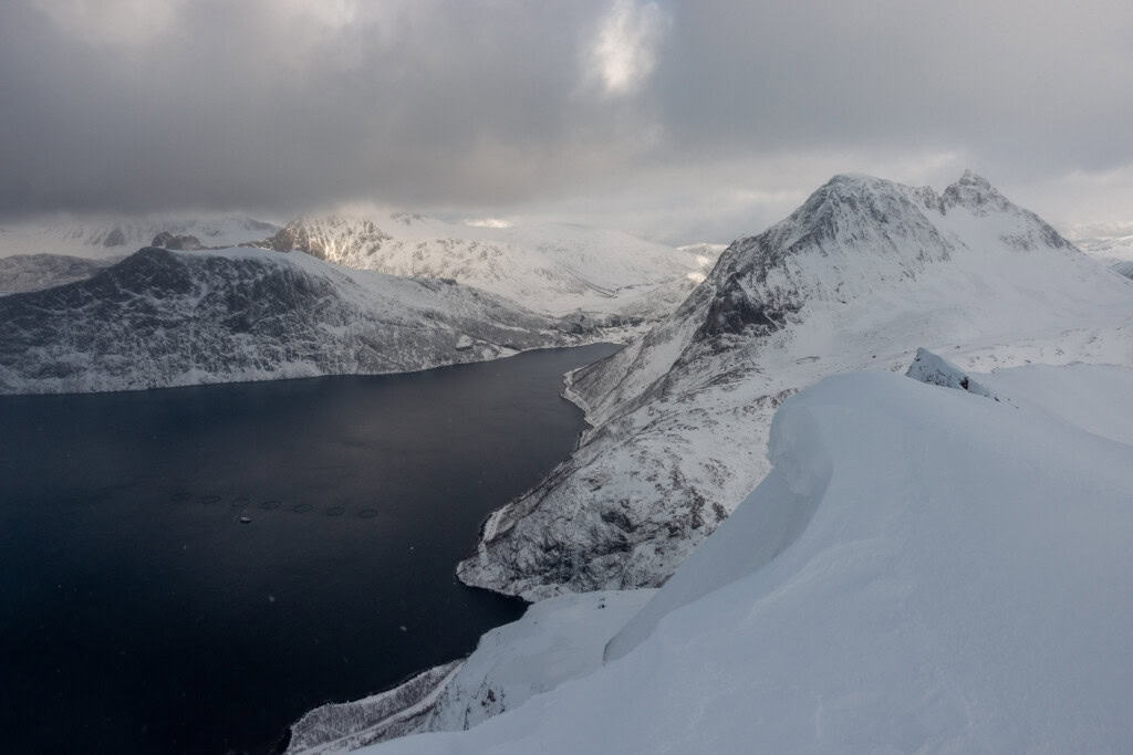 Winter und Fjord im Schnee