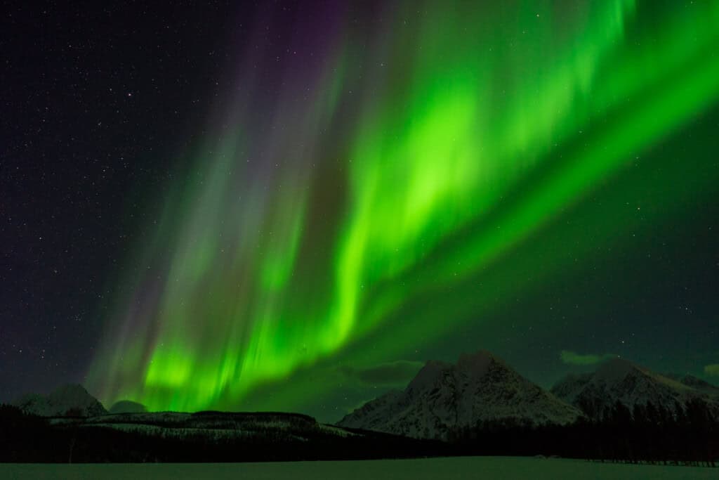Northern Lights