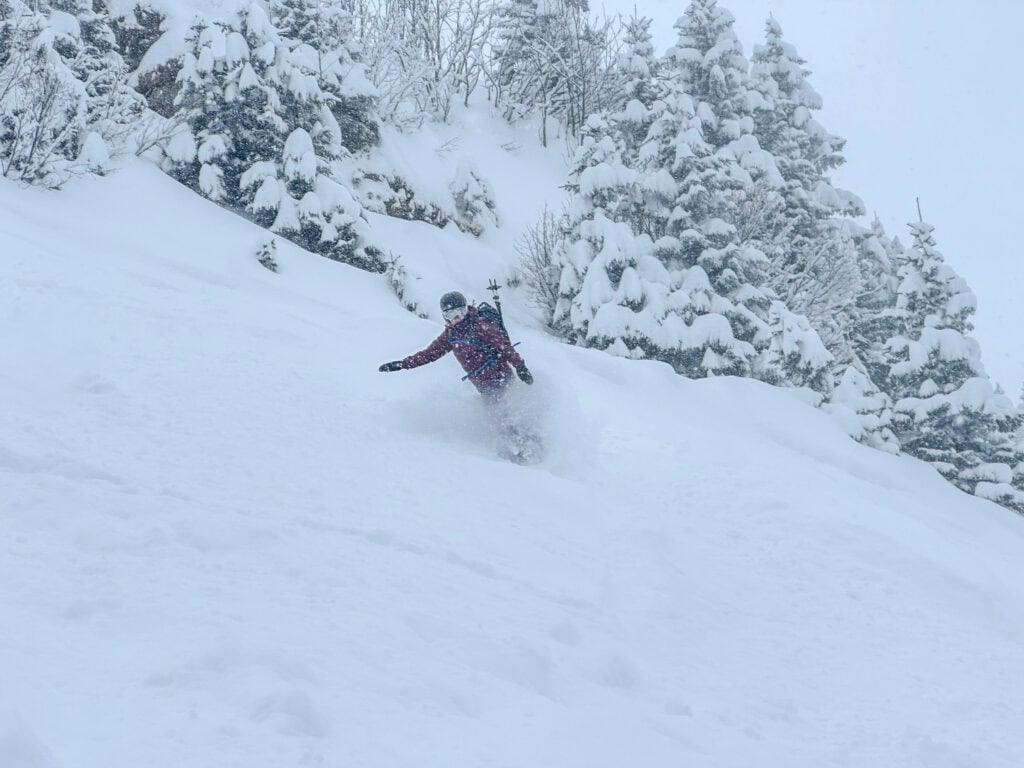 Freeriding in the forest