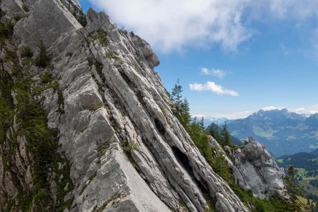 Felsstruktur am Chöpfenberg