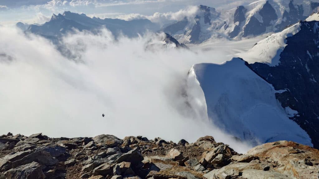View from the summit of the Jungfrau
